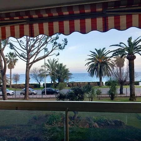 Dionysos * Cannes